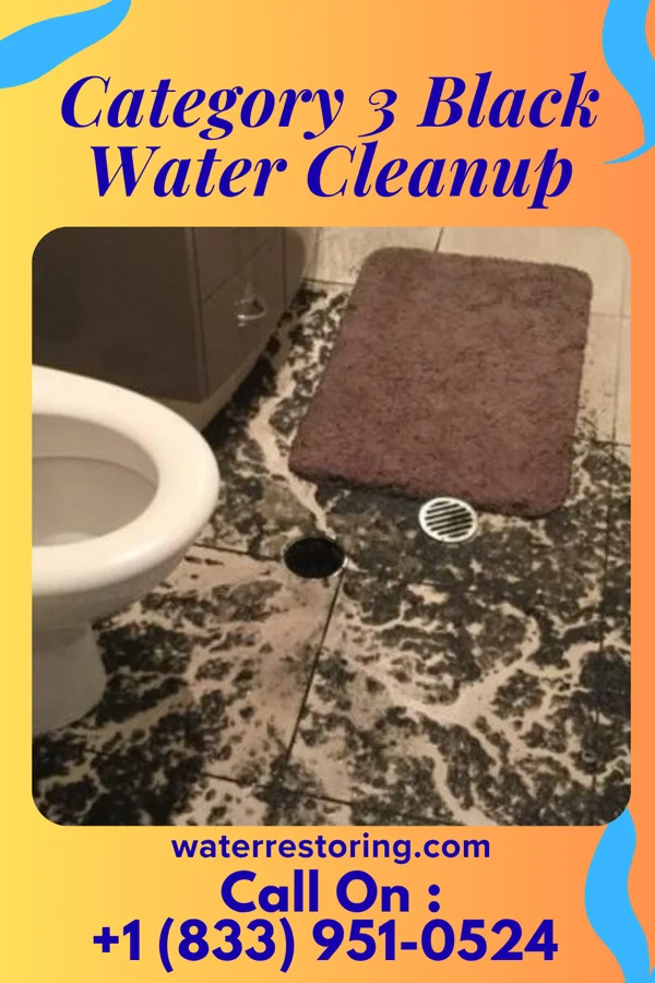Category 3 Black Water Cleanup in Orleans, IN
