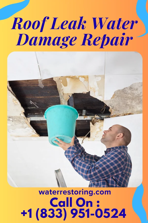 Roof Leak Water Damage Repair in Orleans, IN